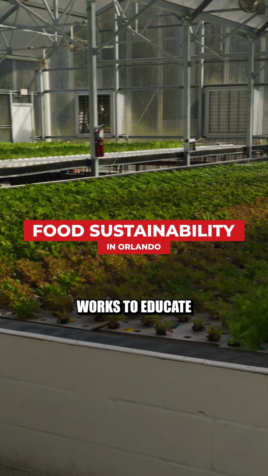 4Roots Farm 🧑‍🌾 is shaping a more sustainable future in the Packing District with its 40-acre urban campus, complete…