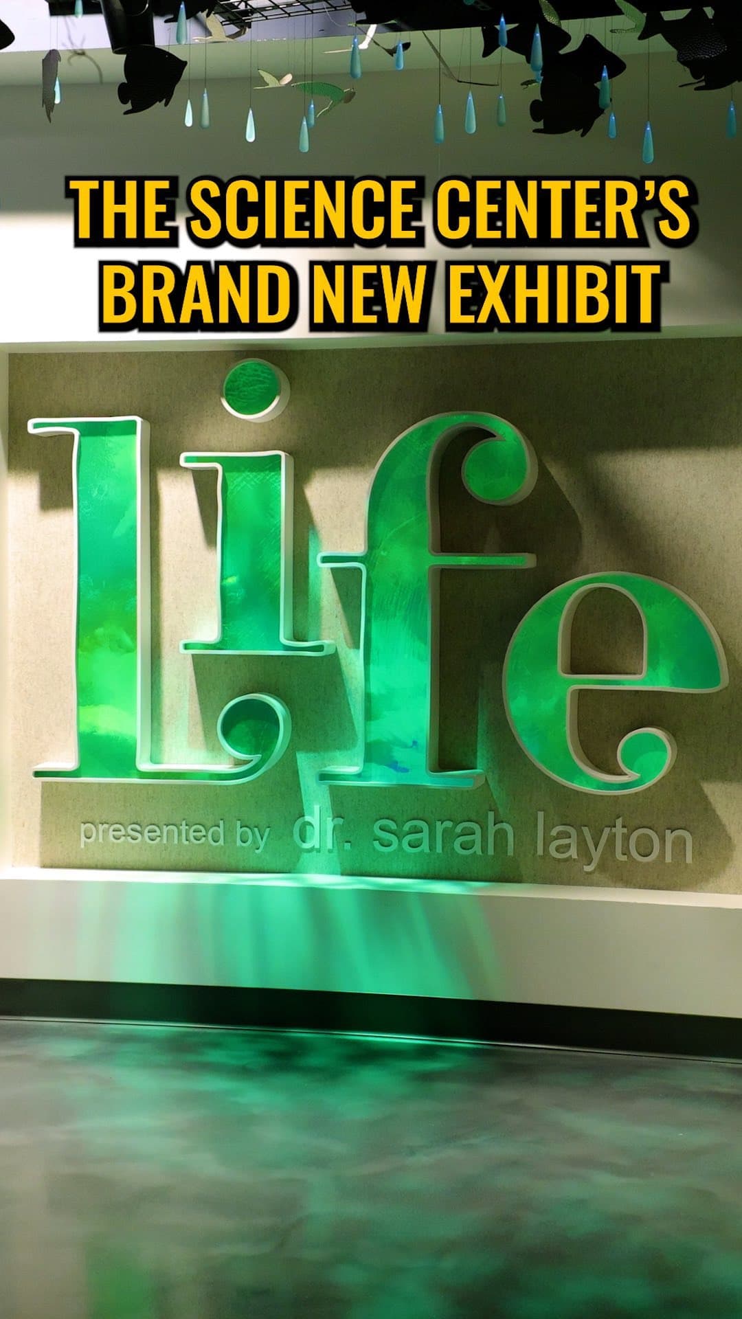 🍃🌊🌴 The Life Exhibit at @orlandosciencecenter opens to the public April 11th! This new exhibit cost over 13 million…